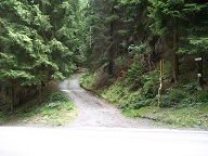 Waldweg zum Bahnhof